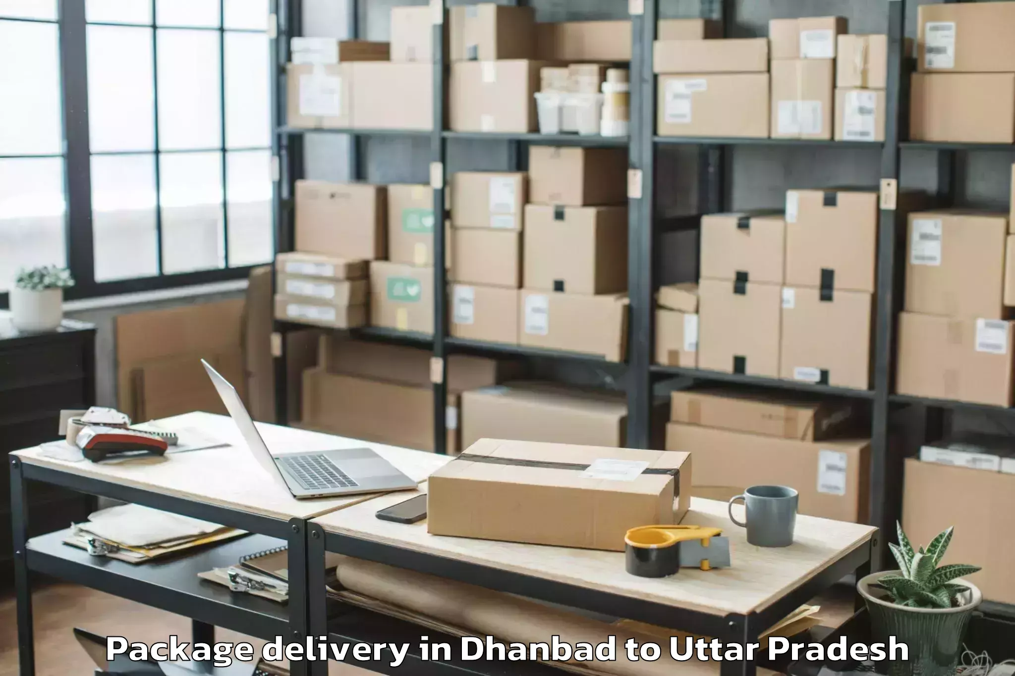 Affordable Dhanbad to Bajna Package Delivery